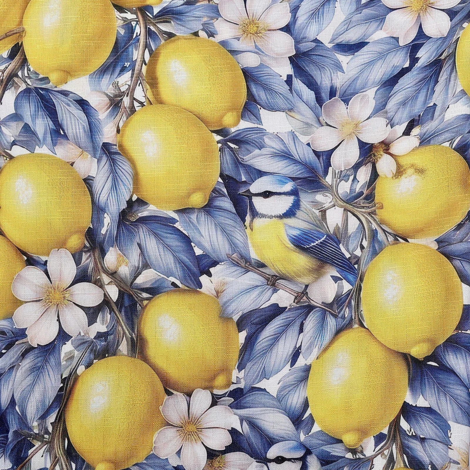 Floral & Botanical