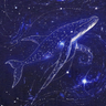 Celestial Tide